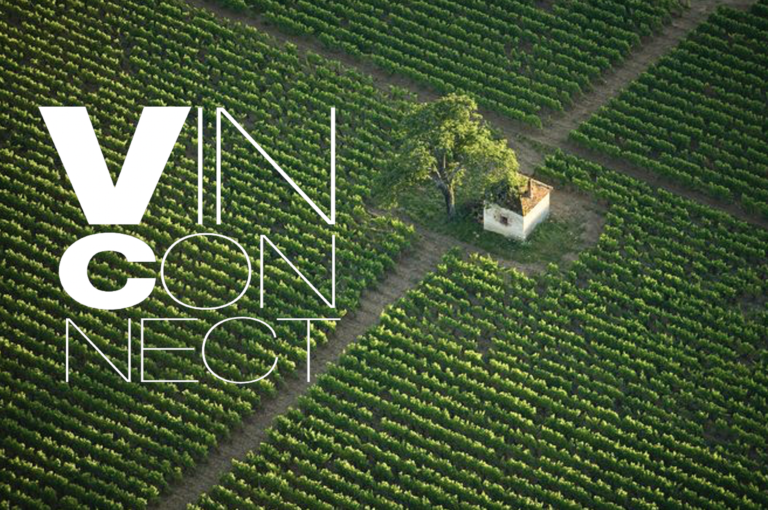 ワインの熟成と年数目安 株式会社 ヴァンコネクト(Vinconnect)